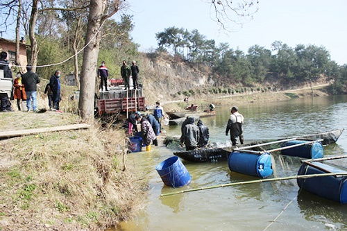 陕西省汉中市 渔业有序推进复工复产,大力促进水产销售
